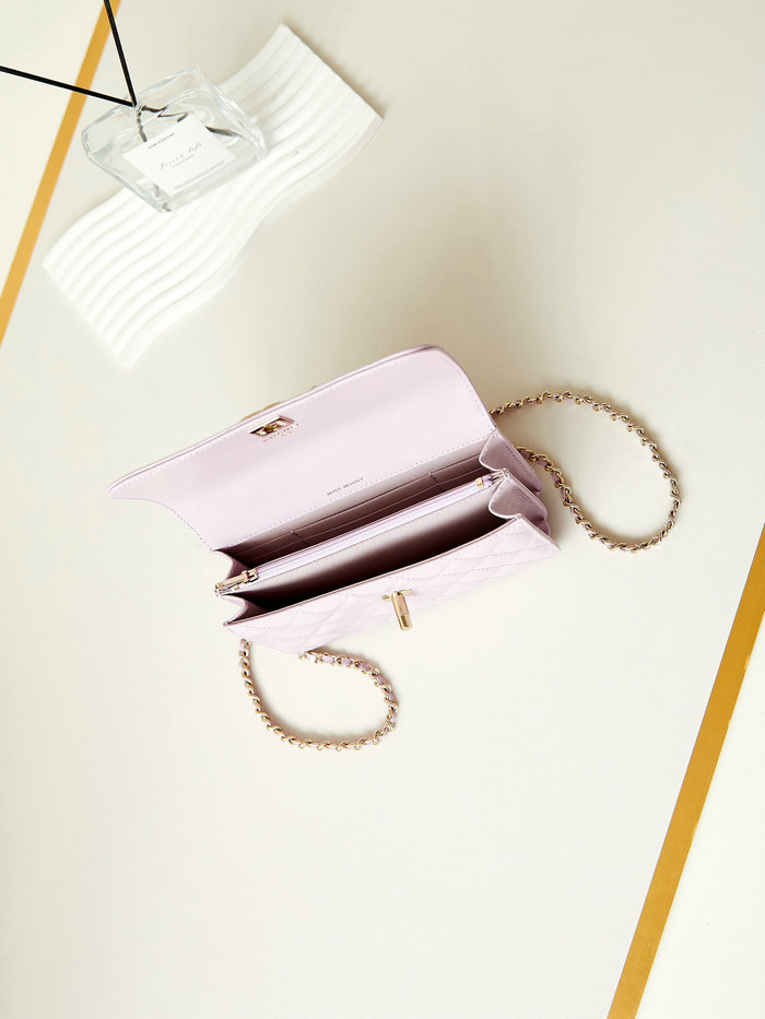 Small Chanel Flap Bag with Top Handle AP3803 Pink