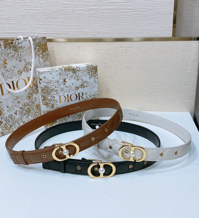 Dior Belt WBD62804