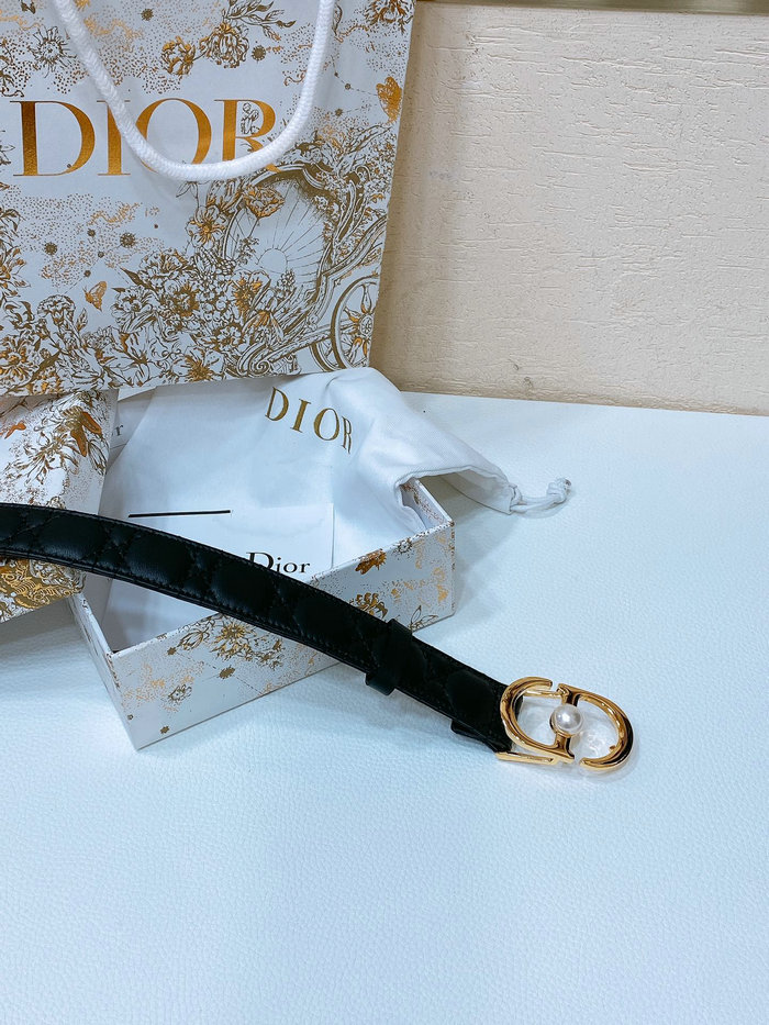 Dior Belt WBD62804