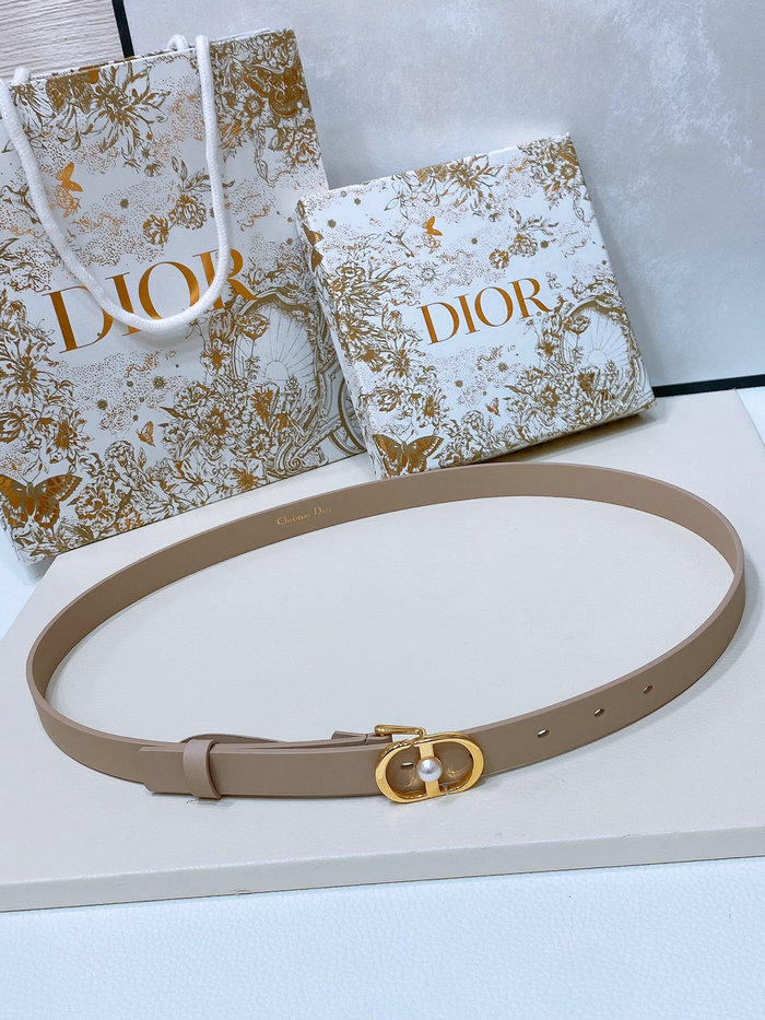 Dior Belt WBD62805