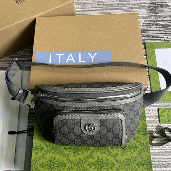 Gucci Ophidia Belt Bag 733868