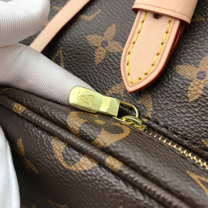 Louis Vuitton Mini Montsouris Backpack M51137