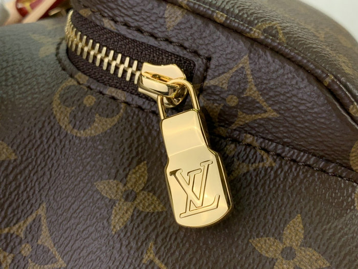 Louis Vuitton Montsouris PM M11198