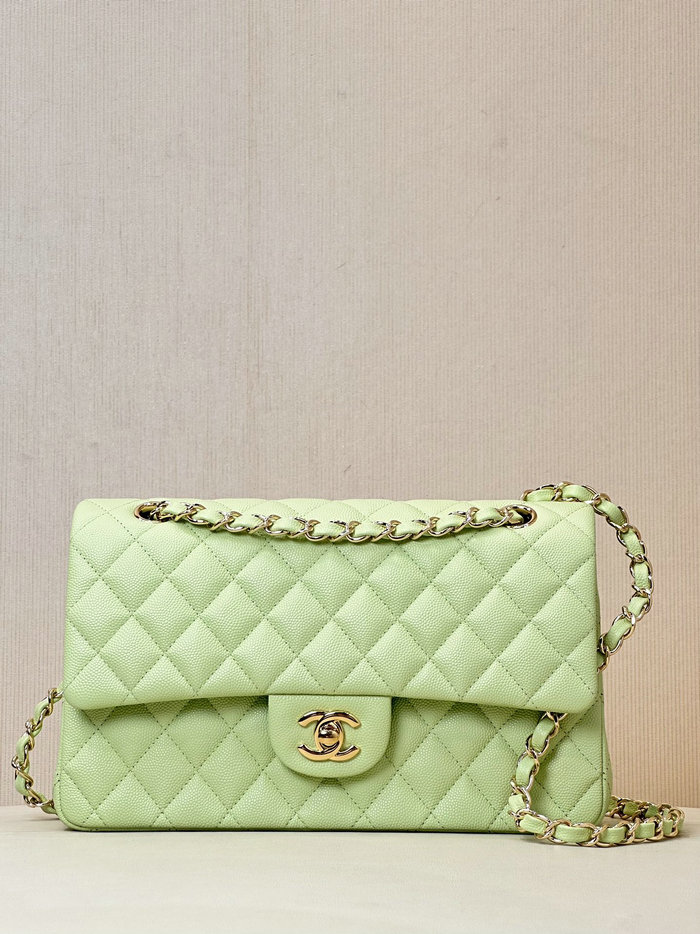 Medium Chanel Grained Calfskin Flap Bag A01112 Light Green