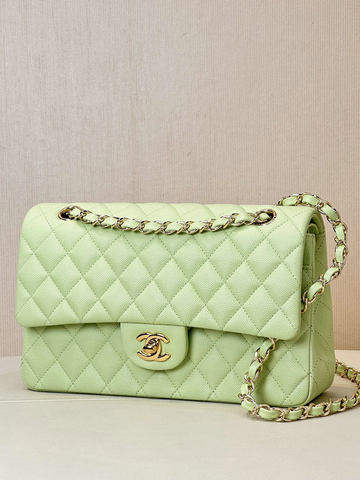 Medium Chanel Grained Calfskin Flap Bag A01112 Light Green