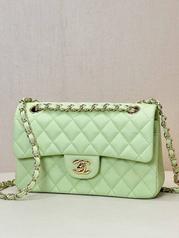 Small Chanel Grained Calfskin Flap Bag A01117 Light Green