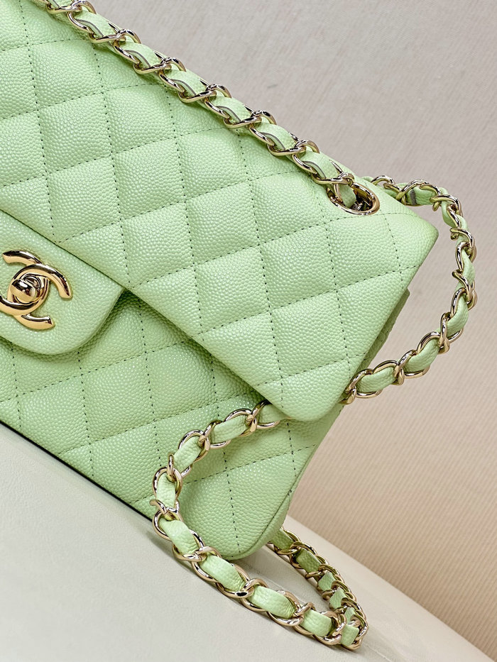 Small Chanel Grained Calfskin Flap Bag A01117 Light Green