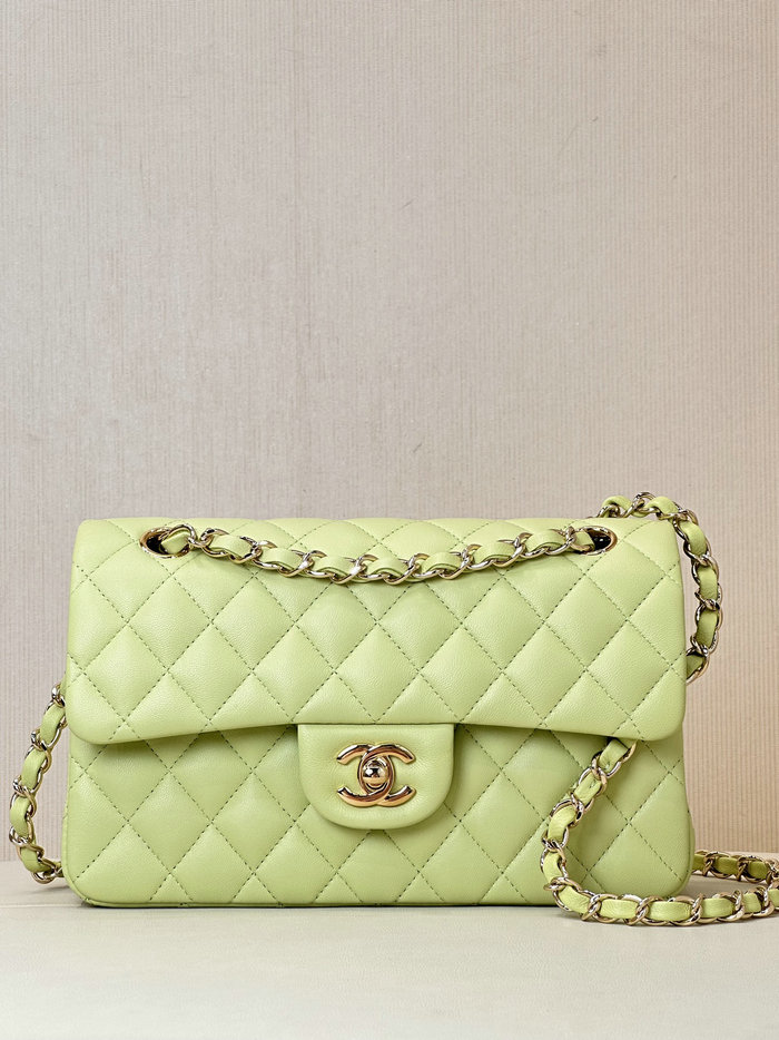 Small Chanel Lambskin Flap Bag A01117 Green