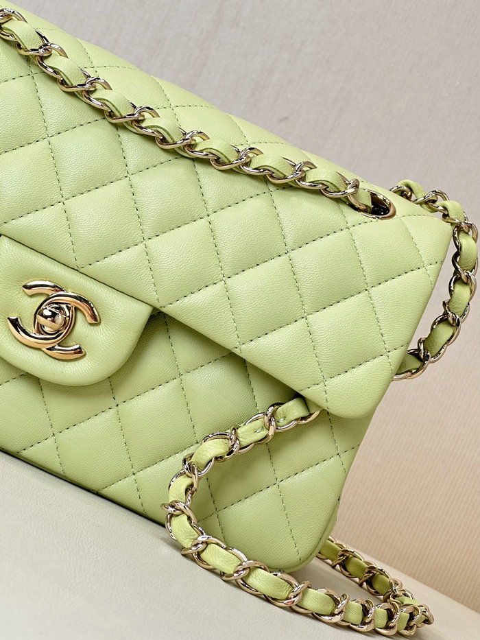 Small Chanel Lambskin Flap Bag A01117 Green