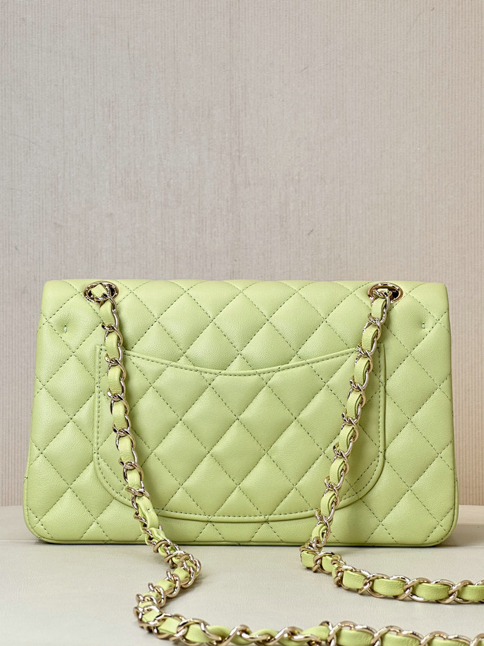 Small Chanel Lambskin Flap Bag A01117 Green