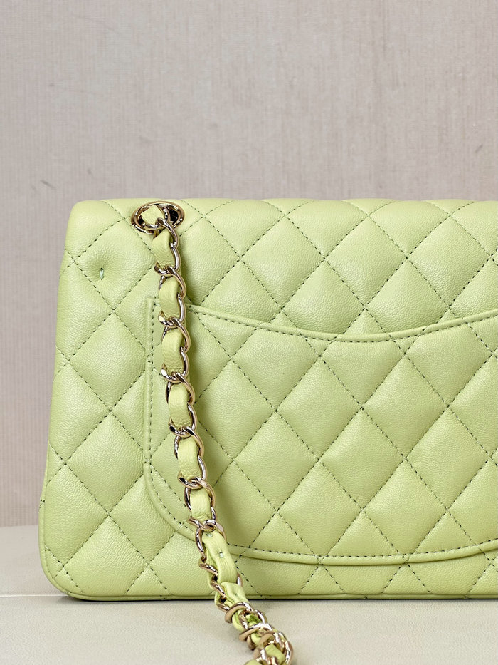 Small Chanel Lambskin Flap Bag A01117 Green