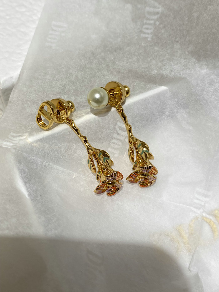 Dior Earrings DE71801