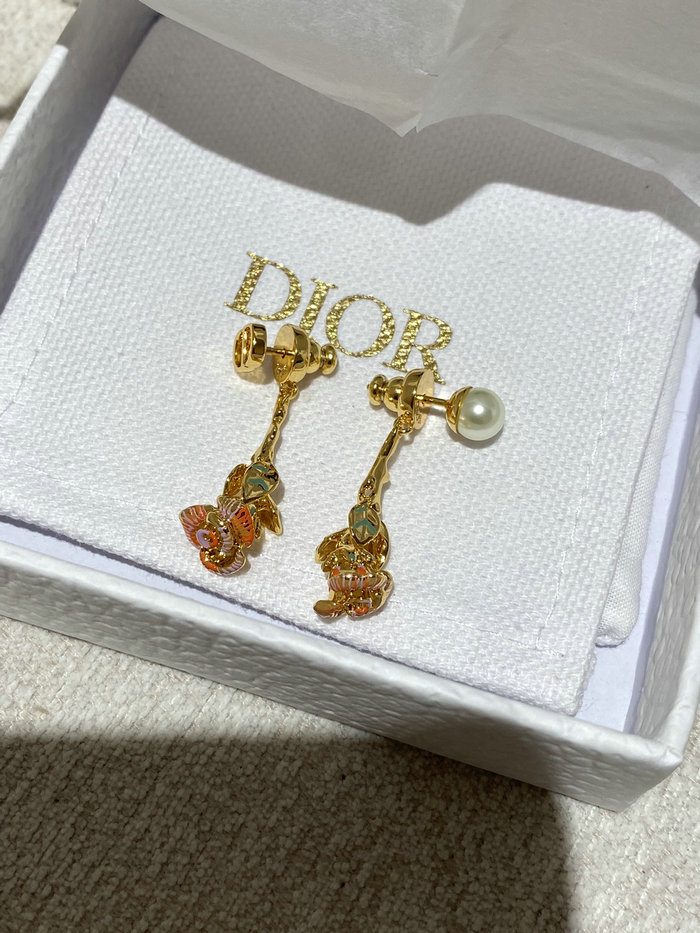 Dior Earrings DE71801