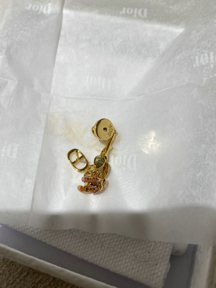 Dior Earrings DE71801