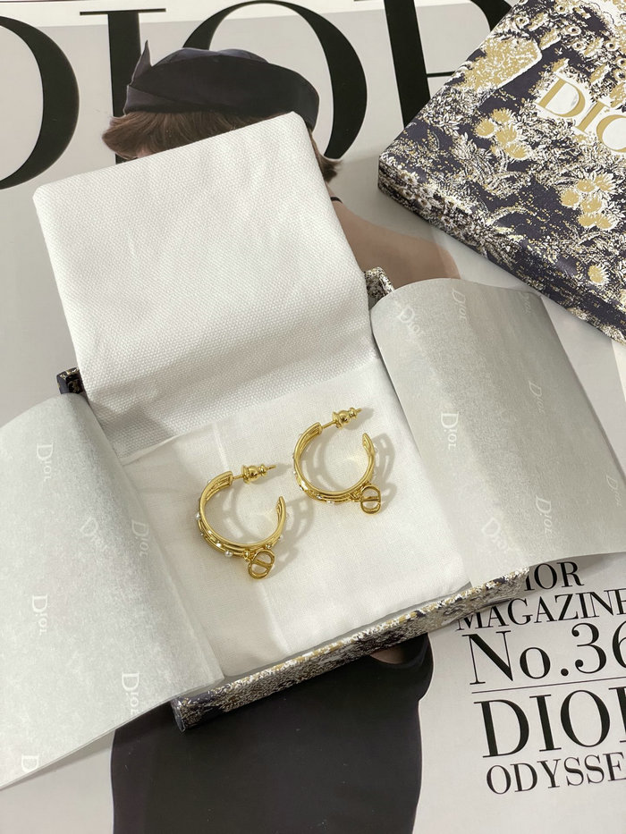 Dior Earrings DE71802