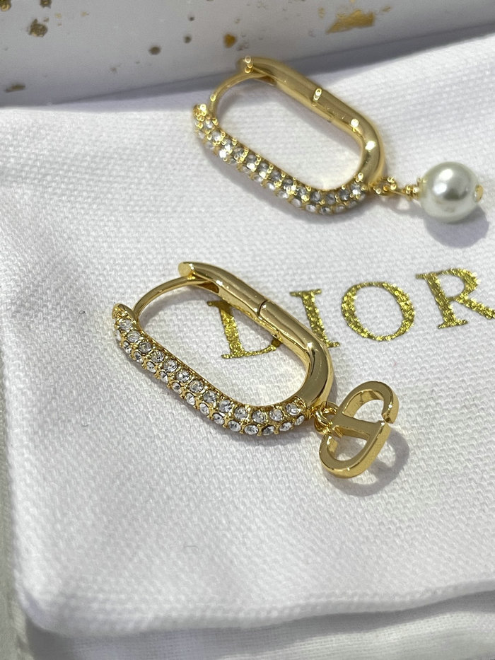 Dior Earrings DE71803