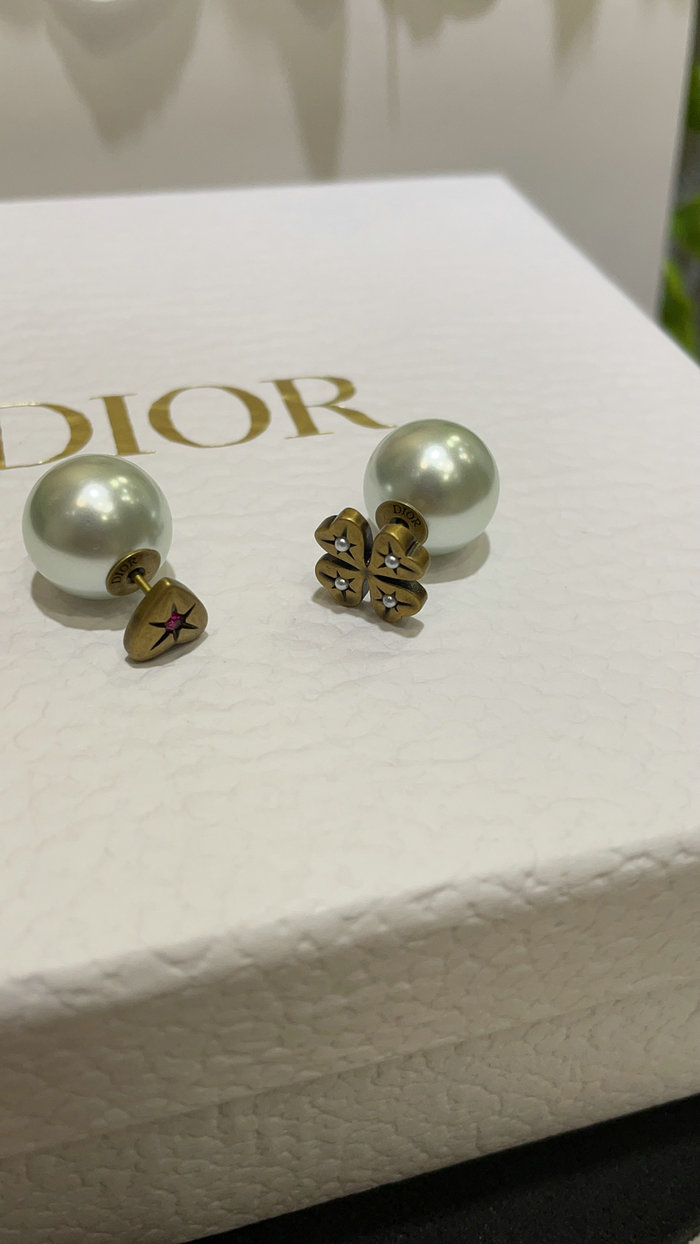 Dior Earrings DE71805