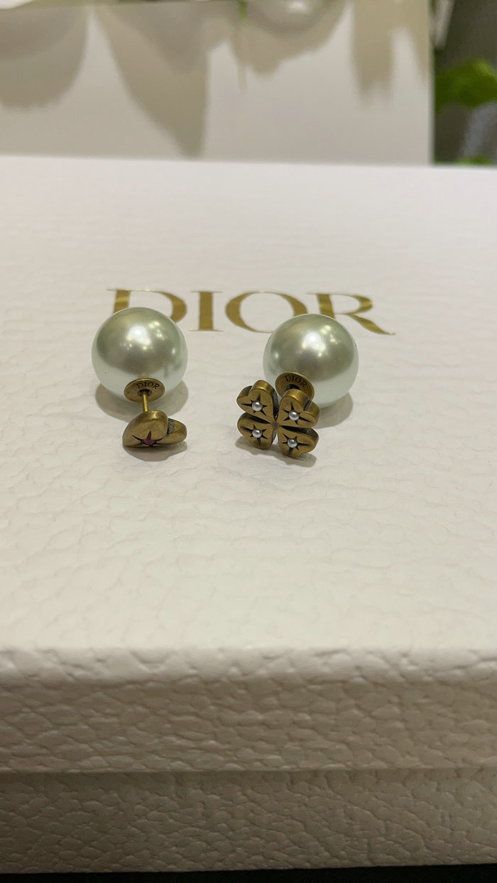 Dior Earrings DE71805