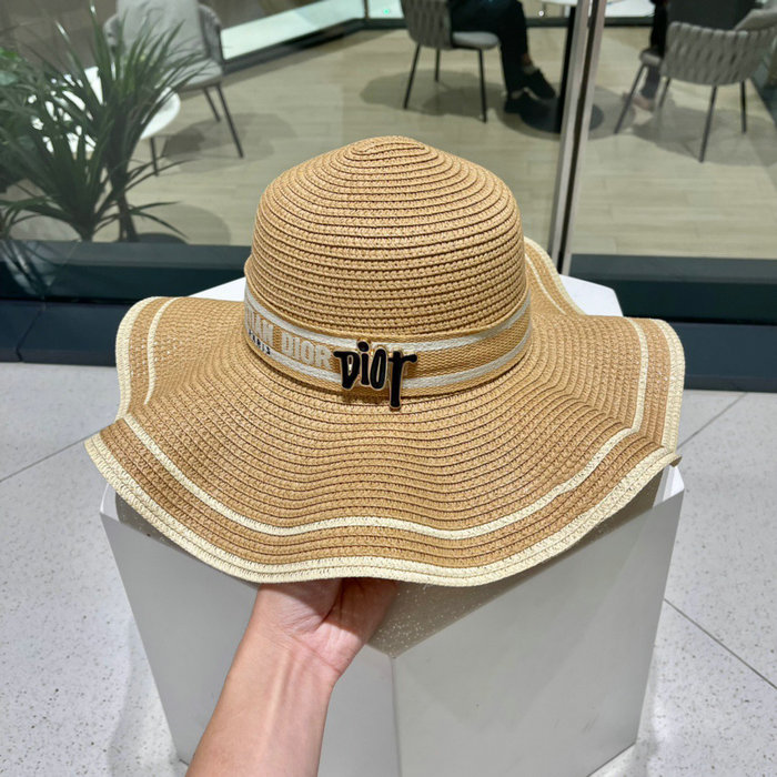 Dior Hat WHD71608