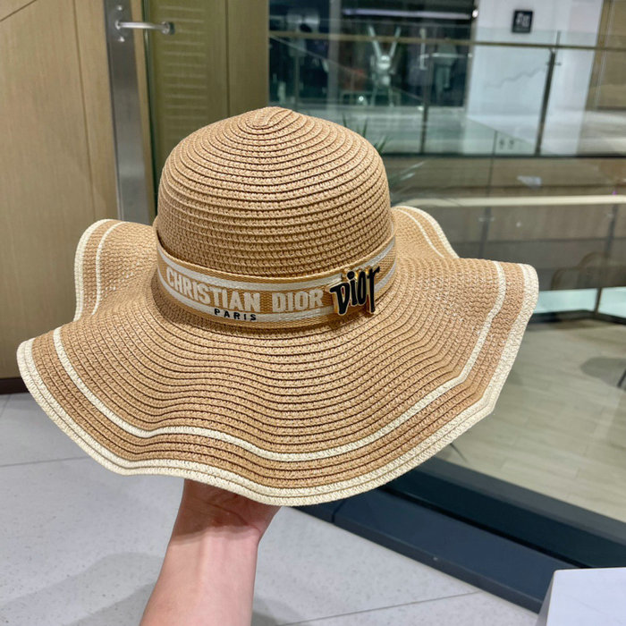 Dior Hat WHD71608