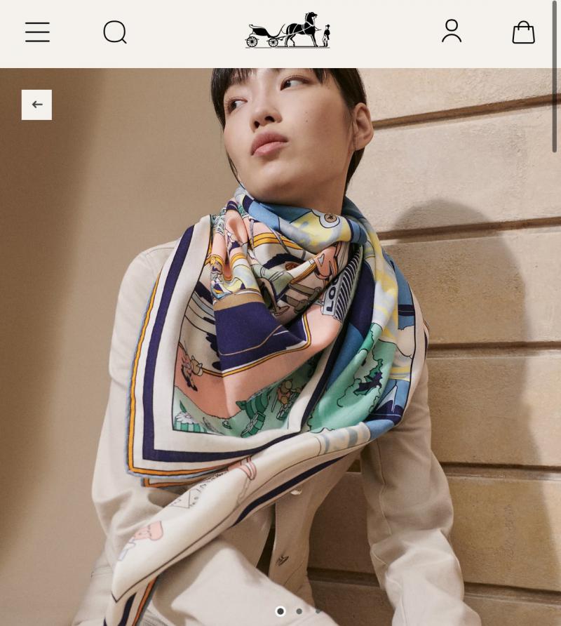 Hermes Scarf SHS90104