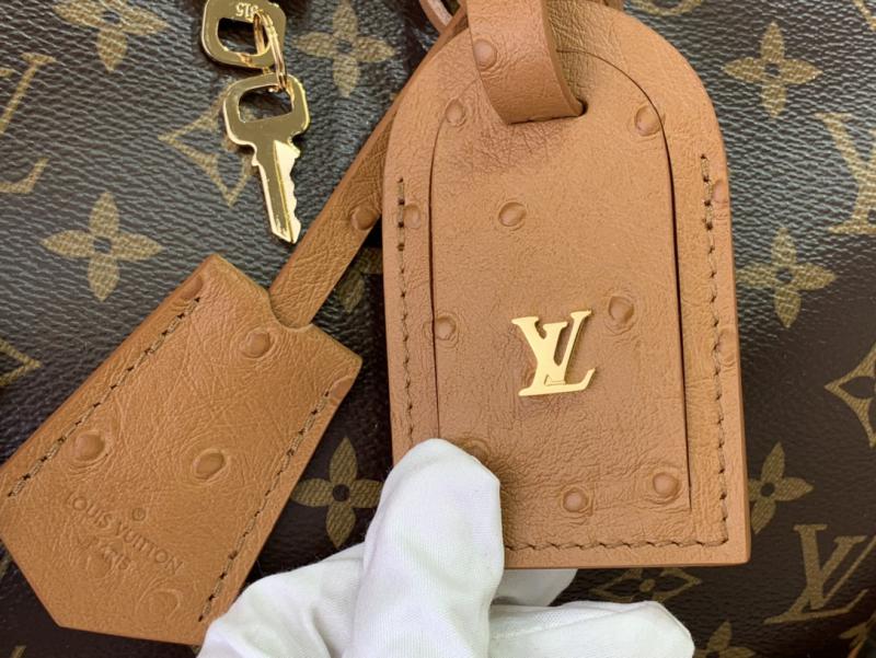 Louis Vuitton Speedy Soft 30 Boho N87212