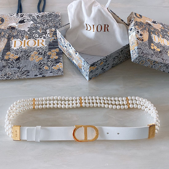 Dior Belt DB122002