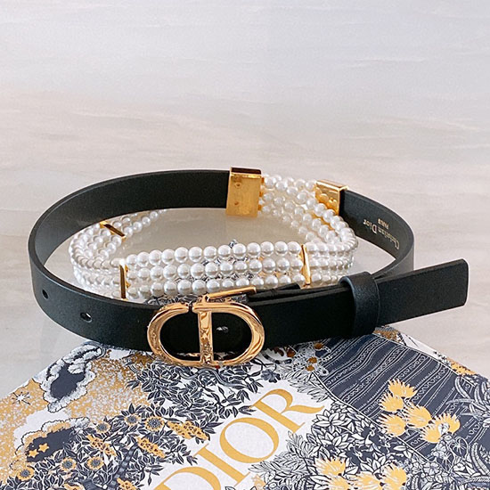 Dior Belt DB122004