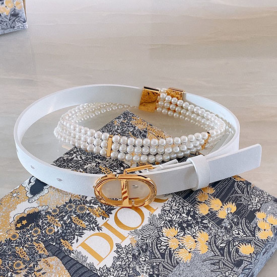 Dior Belt DB122005