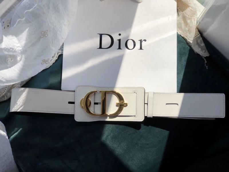 Dior Belt WDB120301