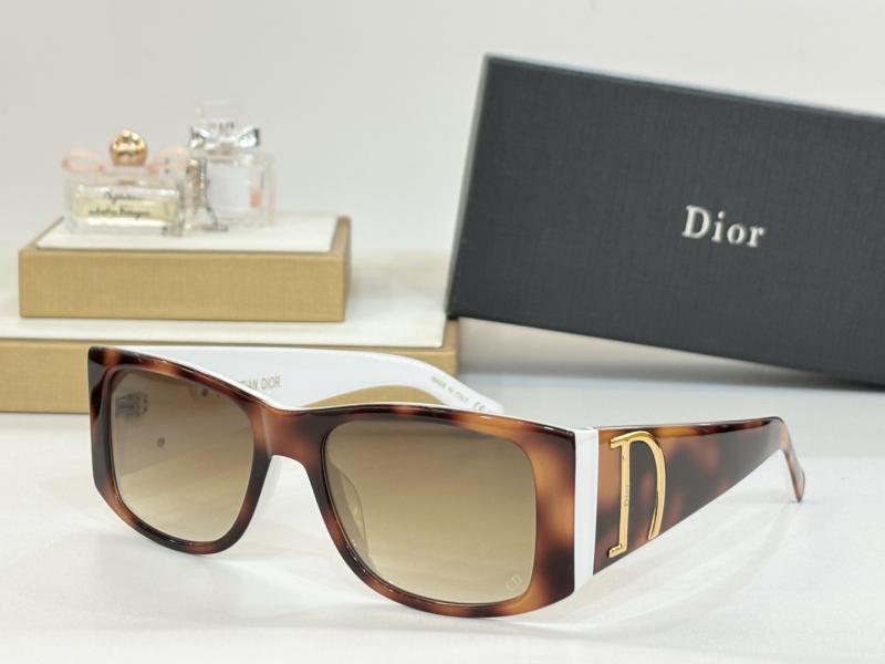 Dior Sunglasses S10F